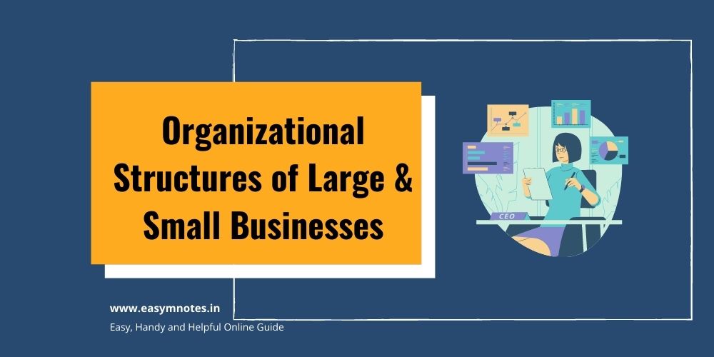 Difference between small and large organizations - Easymnotes.in
