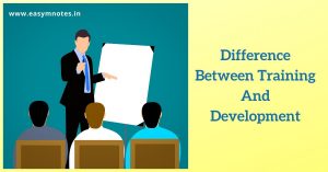 Difference between training and development