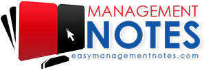 Easy Management Notes Logo